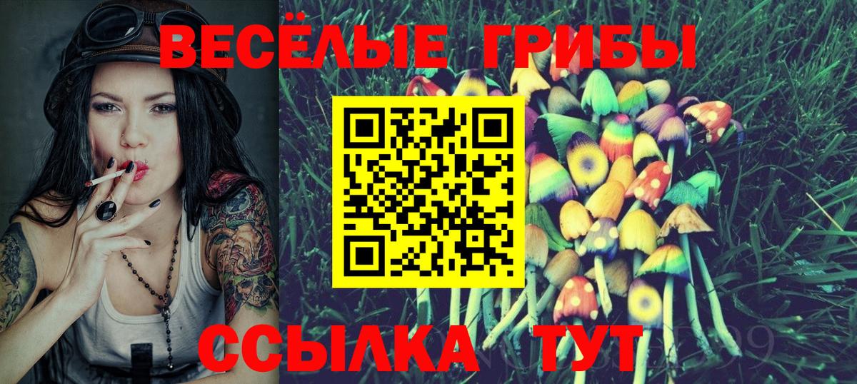 Псилоцибиновые грибы мицелий Обь