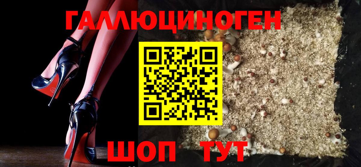 Галлюциногенные грибы Magic Shrooms  Галлюциногенные грибы мицелий  Вход с VPN  Обь 
